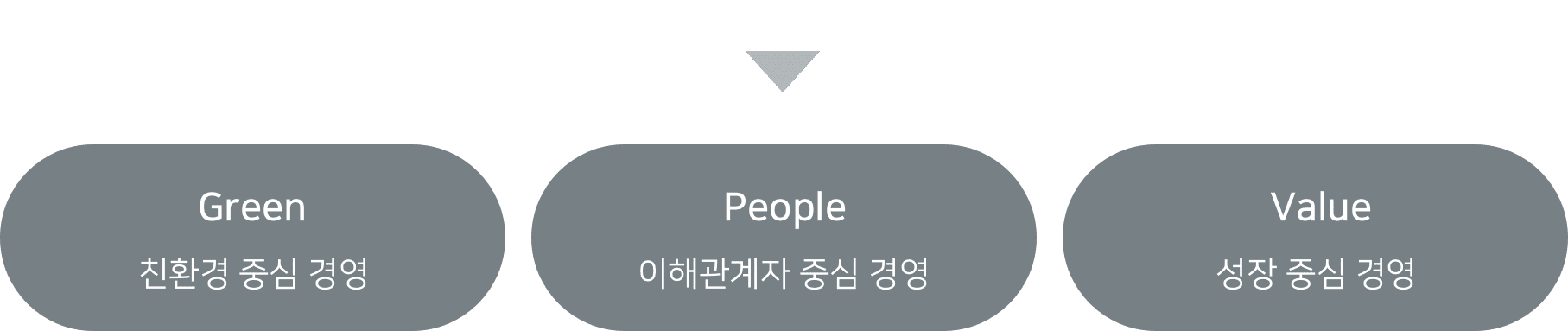 Green(친환경 중심 경영), People(이해관계자 중심경영), Value(성장 중심 경영)